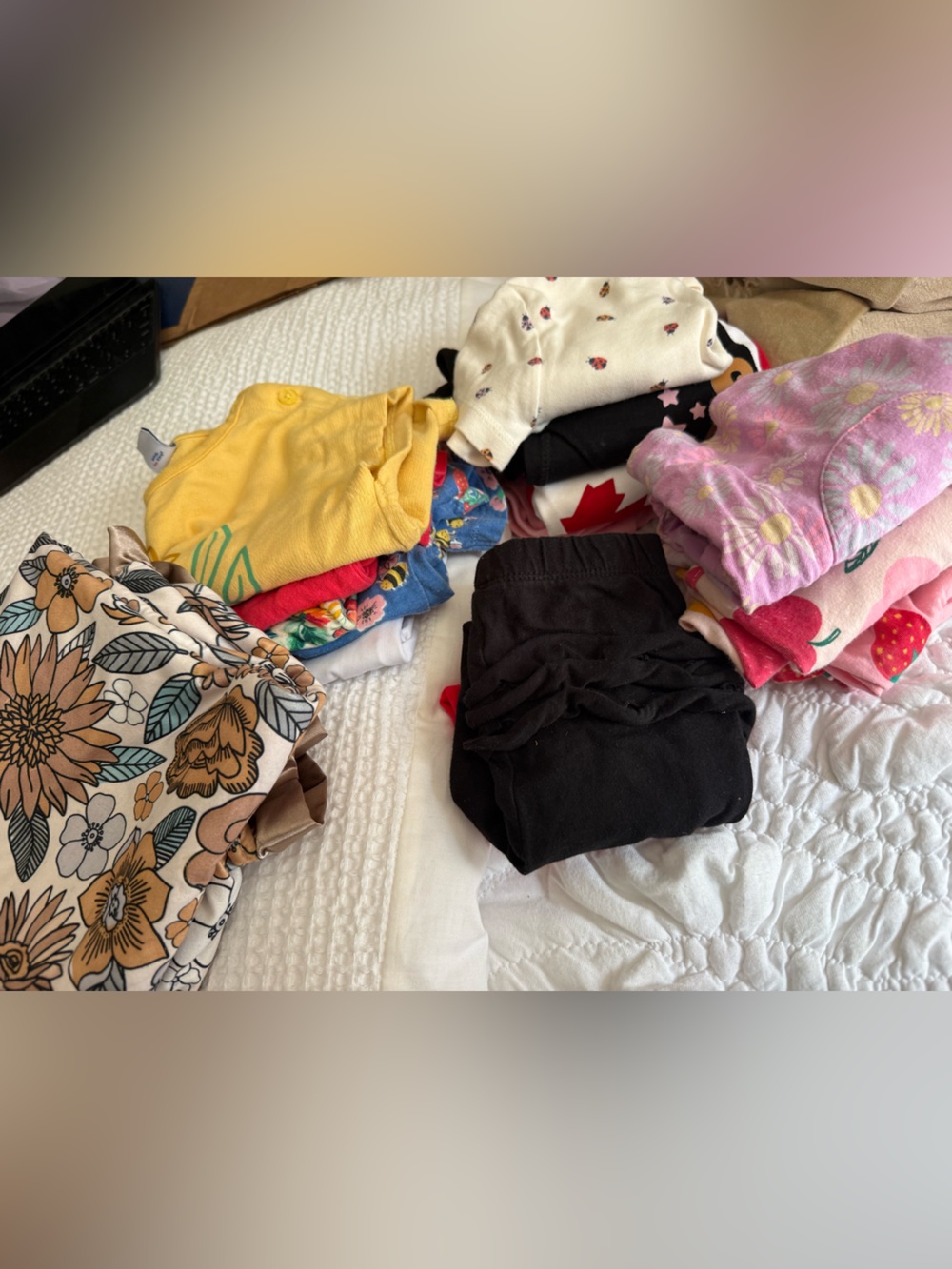 Mixed Baby Girls Clothing Bundle - Floral & Solid Pieces- Sizes 12-24 months